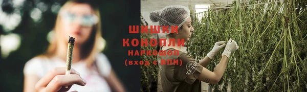 спиды Гусь-Хрустальный