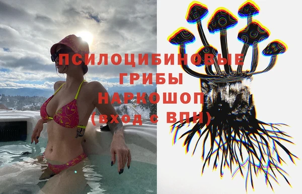 MESCALINE Гусев