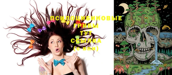 крисы Усинск