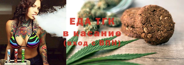 гашик Новозыбков