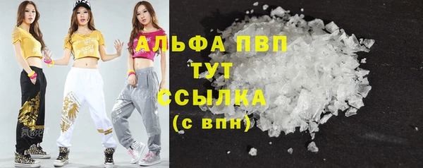 спиды Гусь-Хрустальный