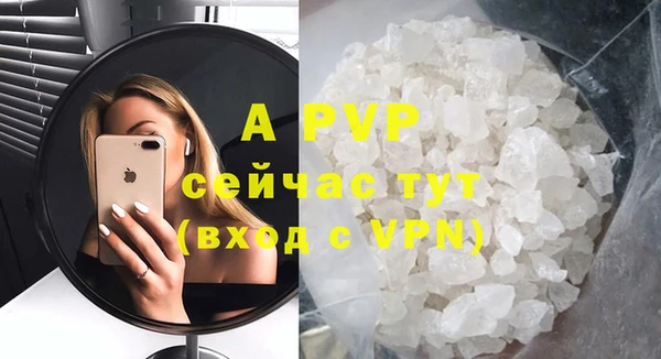 гашик Новозыбков