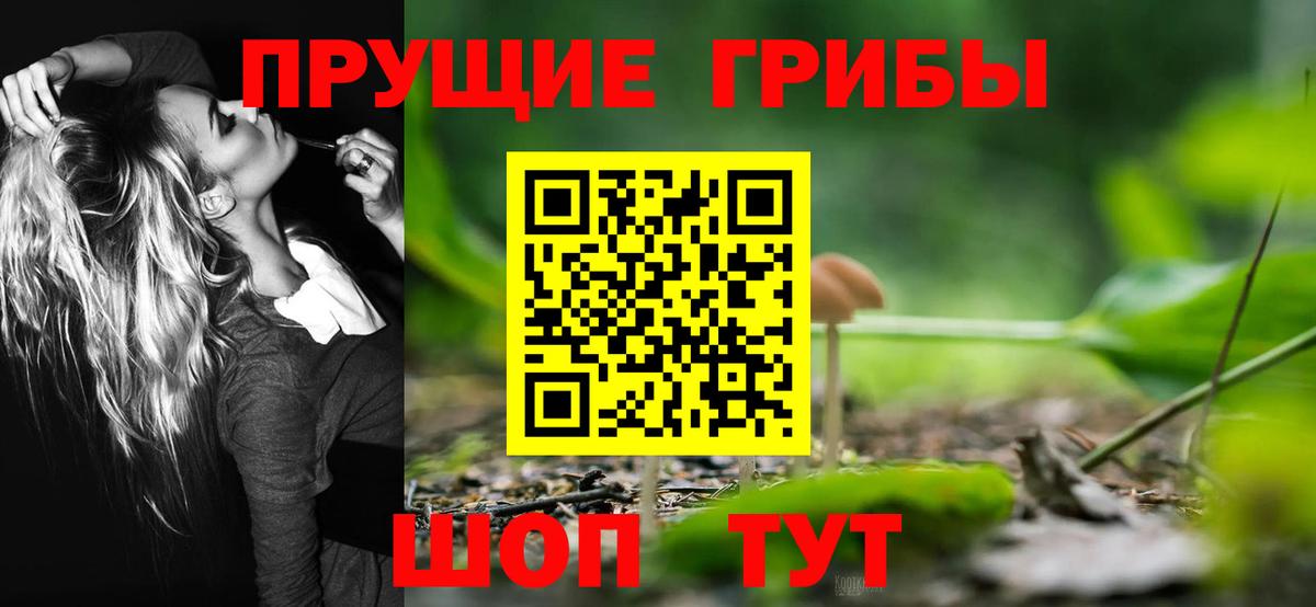 Обь  что такое наркотик  Вход с VPN  Галлюциногенные грибы GOLDEN TEACHER 
